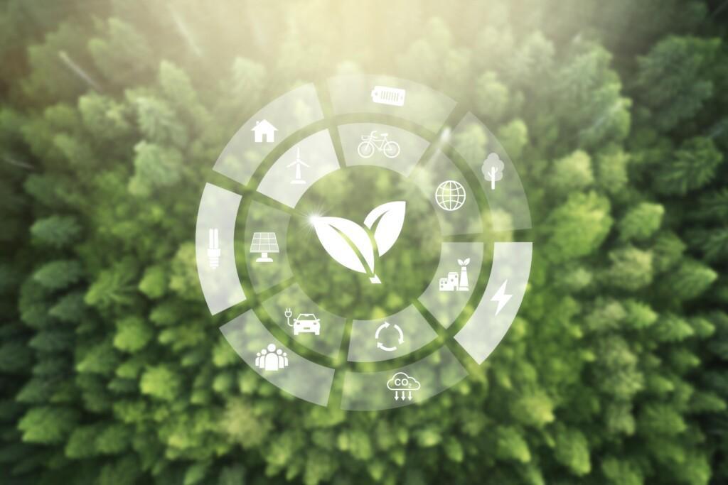 Net Zero Energy Ecosystem: Building a global network of decarbonised energy