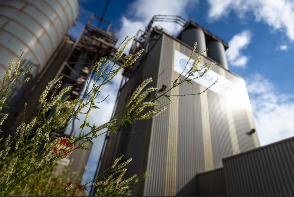 Electric Arc Furnace: Research into the use of EAF slag for low-carbon cement